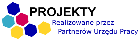 Projekty realizowne przez Partnerów Urzędu Pracy